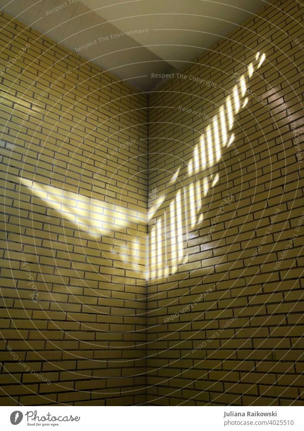 Licht an der gelben gekachelten Wand Licht & Schatten UBahn Menschenleer Farbfoto Berlin Hauptstadt Kontrast Sonnenlicht Architektur Fassade Bauwerk Stadt Tag