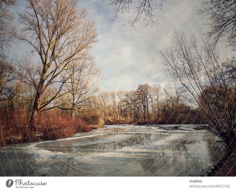 Tauwetter Berlin Tiergarten Ser Eis Schönes Wetter Baum Strauch Himmel menschenleer Außenaufnahme Winter Frost Farbfoto