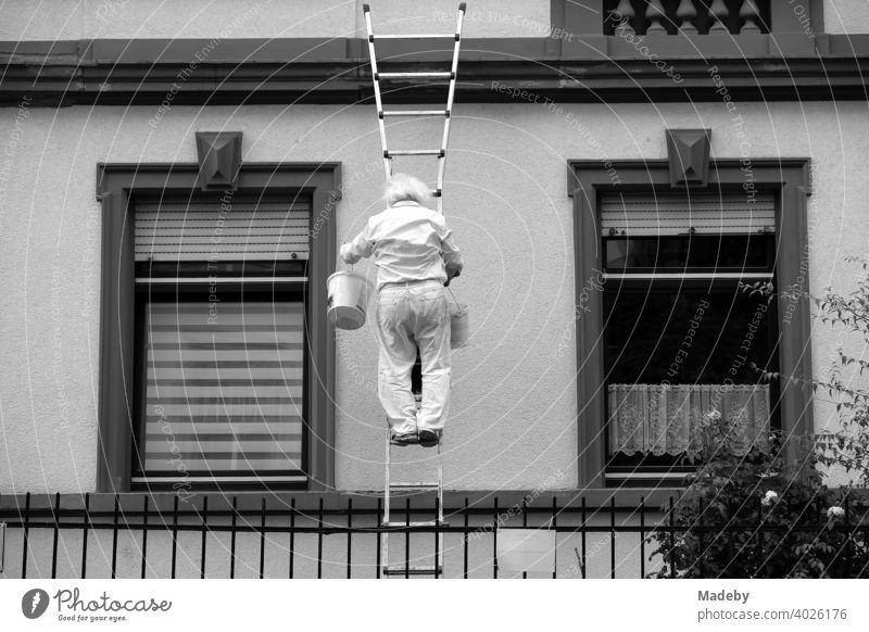 Malermeister mit weißen Haaren und Eimer auf der Leiter an der Fassade eines Altbau im Nordend von Frankfurt am Main in Hessen, fotografiert in klassischem Schwarzweiß