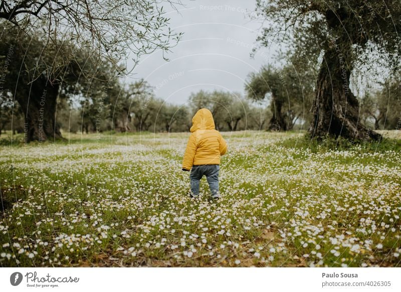 Rückansicht Kleinkind zu Fuß durch Frühling Blumen Feld Kind Kindheit gelb Frühlingsgefühle Frühlingsblume Blumenfeld Tag grün Blühend Blüte Farbfoto