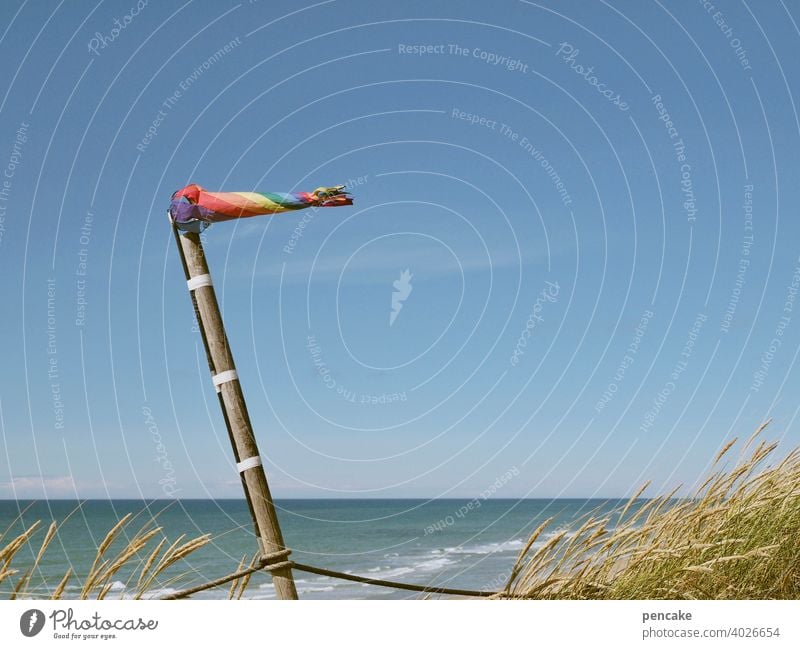 eine nordseebrise Meer Nordsee Küste Windsack Windfahne Strandhafer Düne Dünengras Urlaub Reisen sehnsucht Regenbogen Sommer Himmel Dänemark