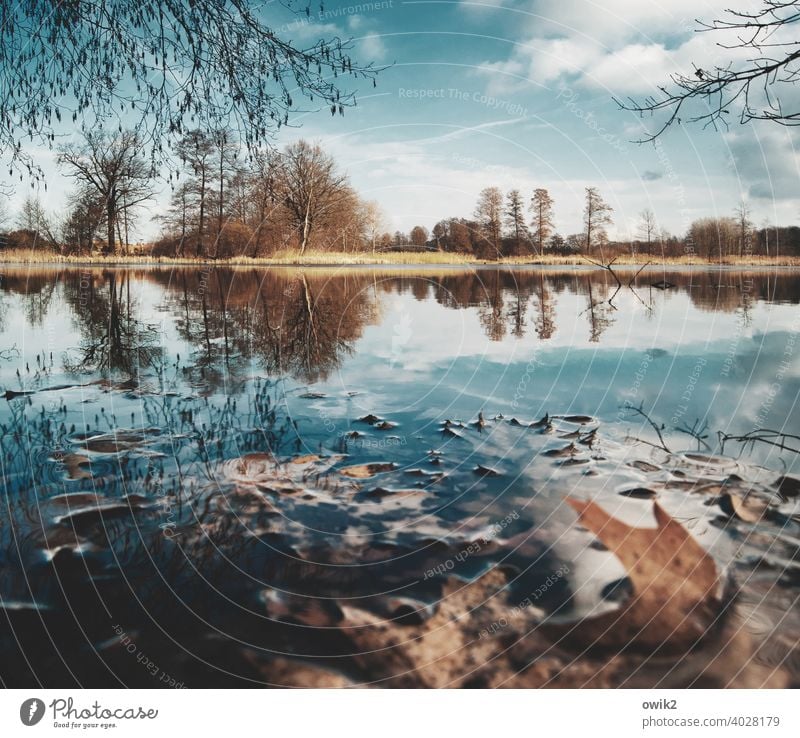 Stilles Wasser Panorama (Aussicht) Totale Sonnenlicht Reflexion & Spiegelung Licht Tag Textfreiraum unten Textfreiraum oben Freiheit Ferne Seeufer Urelemente