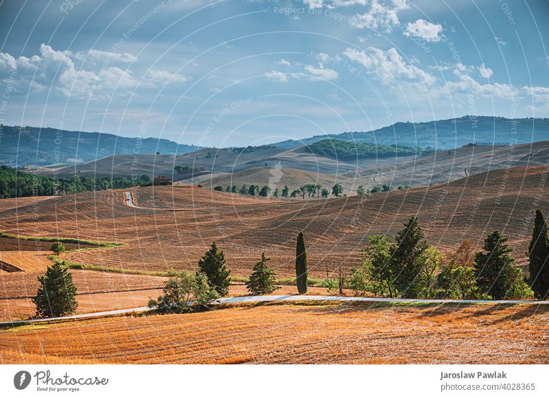 Herbst Herbst im italienischen Land Wechselblätter fallautumn Stimmung fallen Landschaft Natur Wald Saison Baum gelb Park Laubwerk natürlich orange Licht