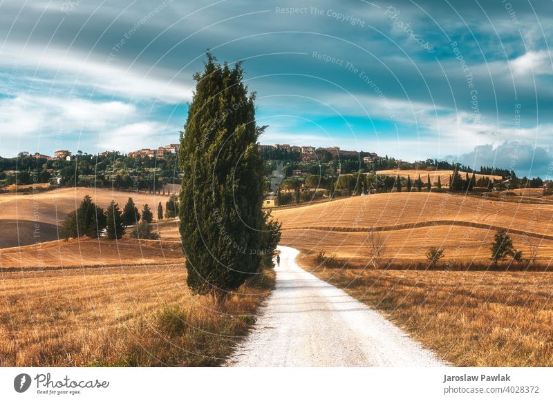 Herbst Herbst im italienischen Land Wechselblätter fallautumn Stimmung fallen Landschaft Natur Wald Saison Baum gelb Park Laubwerk natürlich orange Licht