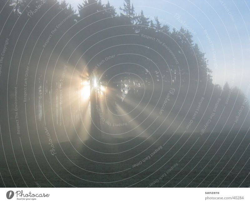 Lichtung Wald Waldlichtung Sonnenstrahlen Sonnenaufgang Morgen Lichtstrahl