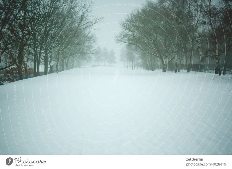 Baluschekpark im Februar baluschek park baum berlin deutschland diesig dunst eis februar feierabend ferien frost hauptstadt himmel kalt kälte menschenleer nebel