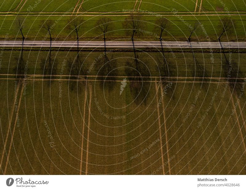 Luftaufnahme eines Wanderwegs Drohnenansicht Drohnenaufnahme Wege & Pfade Straße Allee Feld Landwirtschaft Landschaft