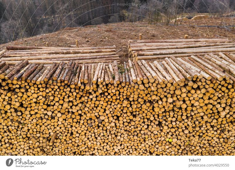 #Holzstapel 1 Wald Borkenkäfer Natur Baumstamm