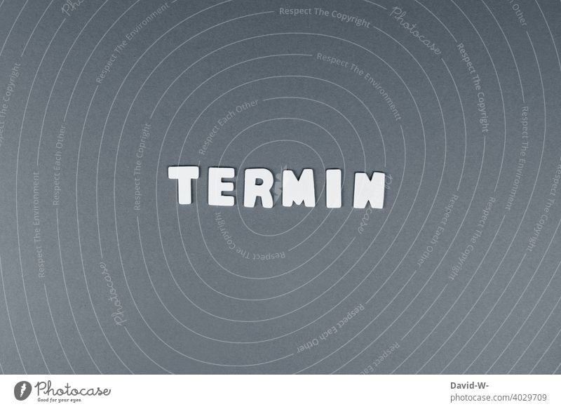 Termin - Wort auf neutralem Hintergrund Kalender Zeit grau weiß Ziel Datum