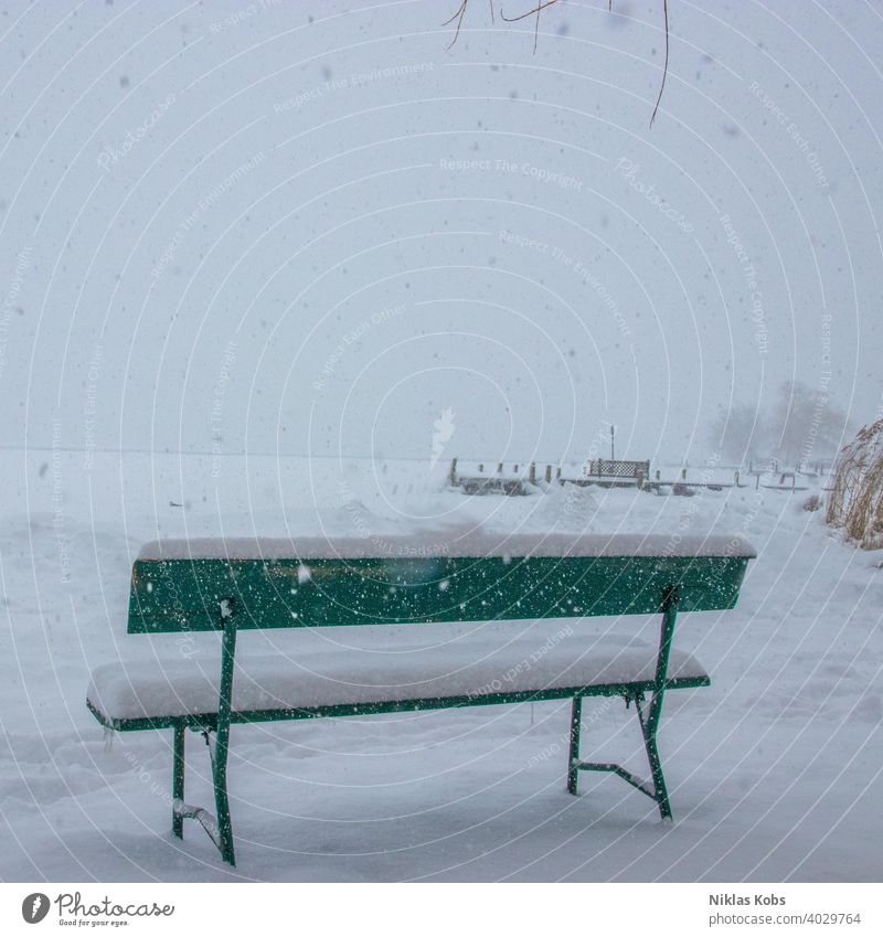 Bank im Schneetreiben kalt Winter Eis weiß Natur Frost Schneefall Schneeflocke Umwelt Winterstimmung grau Menschenleer Farbfoto Schneelandschaft Klimawandel