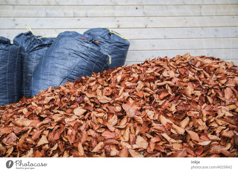 Frühjahrsputz Farbfoto Außenaufnahme Menschenleer Laubhaufen Herbst Frühling Gartenarbeit verwelkt Müllsäcke braun blau Textfreiraum Natur Blätter Herbstlaub