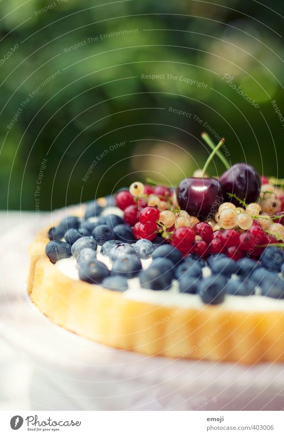 gepflückt Frucht Kuchen Dessert Süßwaren Ernährung Picknick Vegetarische Ernährung lecker süß Saison sommerlich Sommer Beeren Blaubeeren Johannisbeeren Kirsche