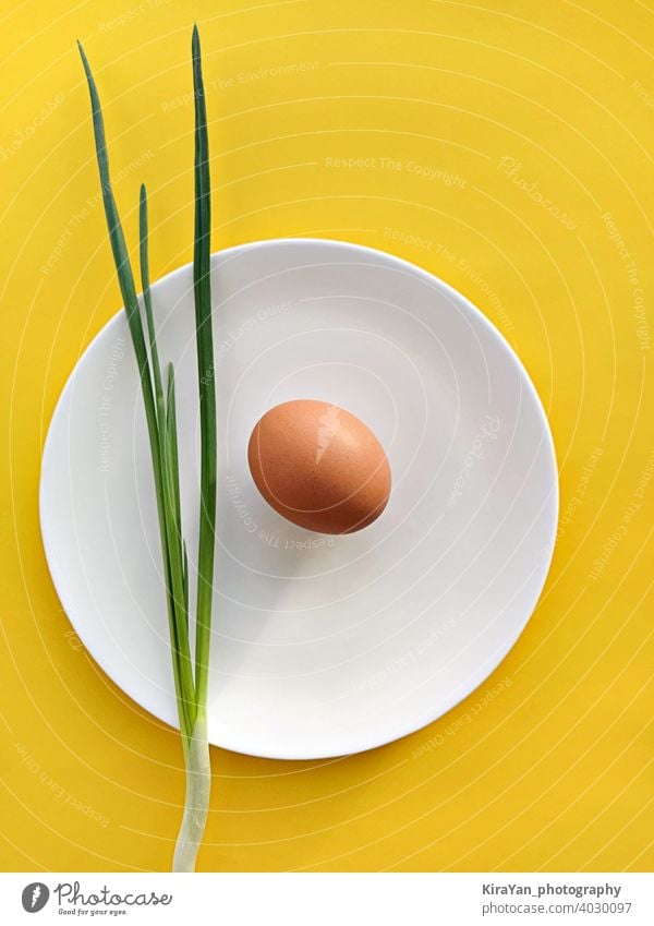 Scallion Zwiebel und Ei auf weißem Teller gegen gelben Hintergrund Lebensmittel Mittagessen Stillleben flache Verlegung Snack Konzept sehr wenige vertikal