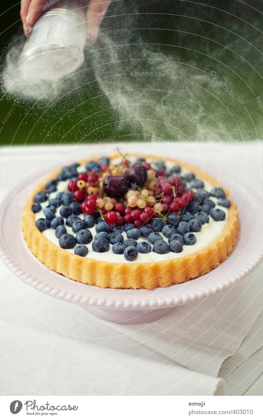 zuckriger Puder Frucht Dessert Süßwaren Torte Ernährung Picknick lecker natürlich süß Beeren Puderzucker sommerlich Saison Farbfoto Außenaufnahme Menschenleer