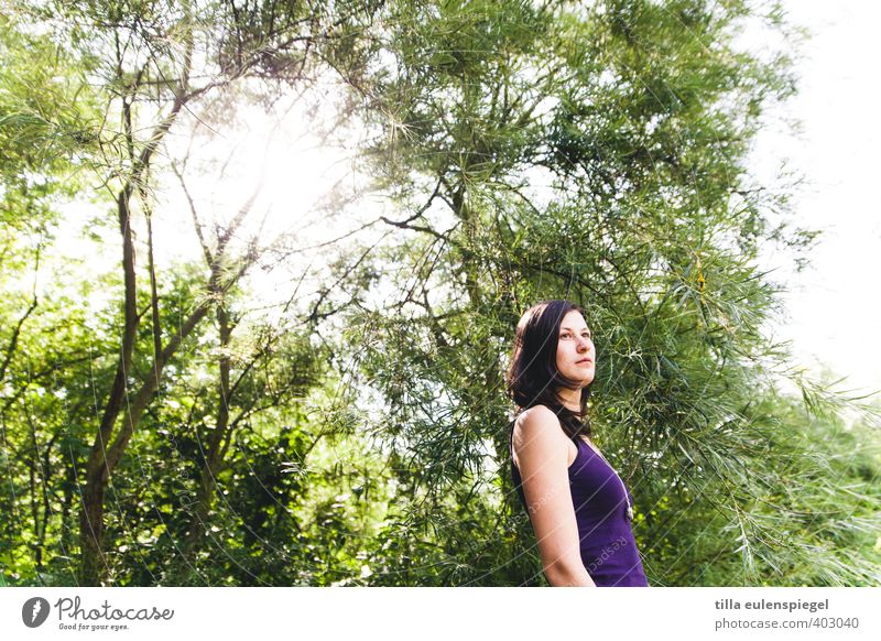 Lila, grün und sonnig. Sommer feminin Junge Frau Jugendliche Erwachsene 1 Mensch 18-30 Jahre Umwelt Natur Sonne Schönes Wetter Baum Park Wald brünett langhaarig