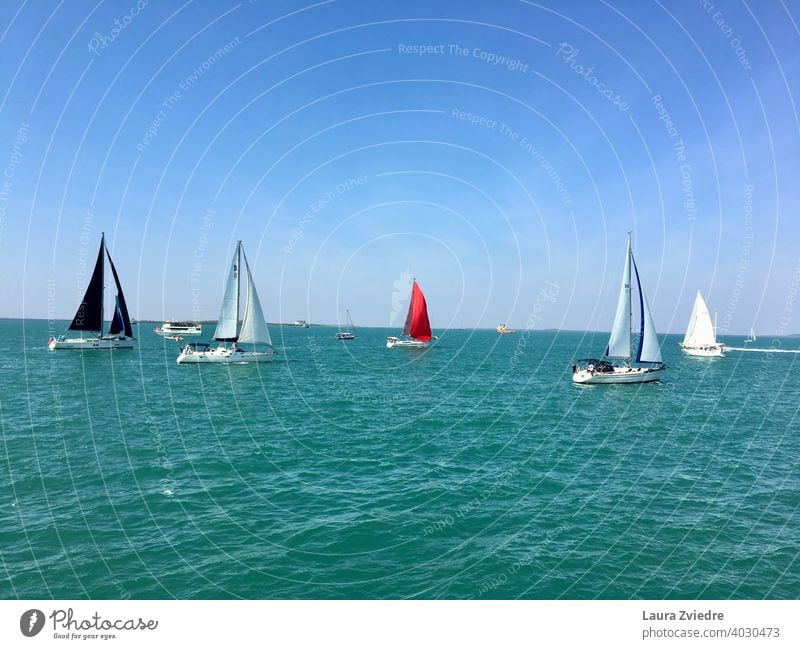 Bootsrennen Rennen Renntag MEER Wasser Himmel Natur Sport Geschwindigkeit Konkurrenz Lifestyle im Freien Segeln Segelboot Abenteuer Gefäße Wind Jacht Meer