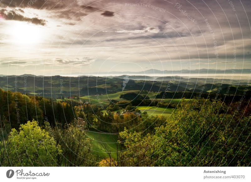 schöne Aussichten Umwelt Natur Landschaft Pflanze Erde Himmel Wolken Horizont Sonne Sonnenaufgang Sonnenuntergang Sonnenlicht Sommer Wetter Schönes Wetter Baum