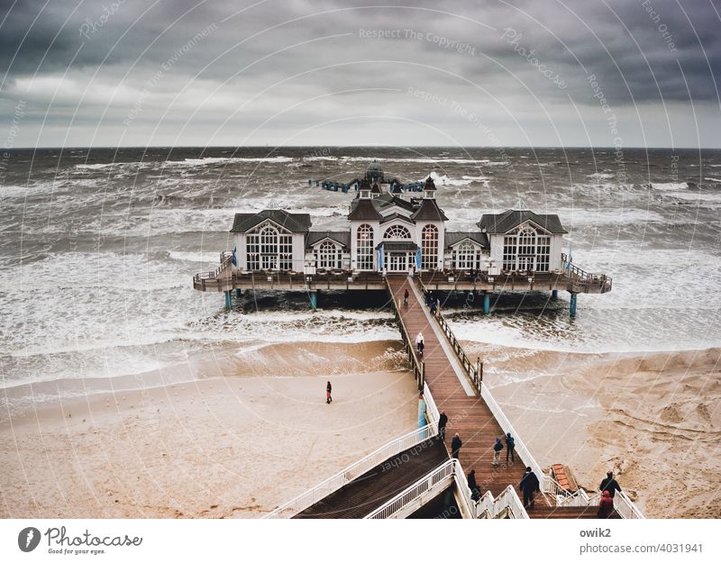 Hoch im Norden Sellin Seebrücke Wahrzeichen Sehenswürdigkeit Idylle Bauwerk Gebäude Rügen Ostsee Strand Küste Horizont Wolken Himmel Wasser Sand Landschaft Holz