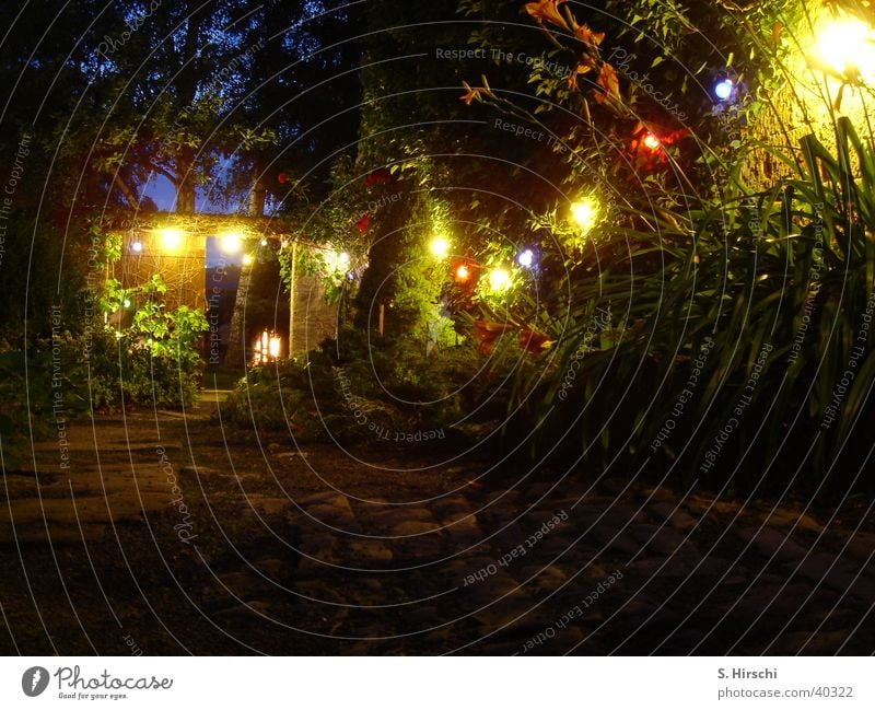 Ein Sommernachtstraum Nacht Märchen Licht Wege & Pfade