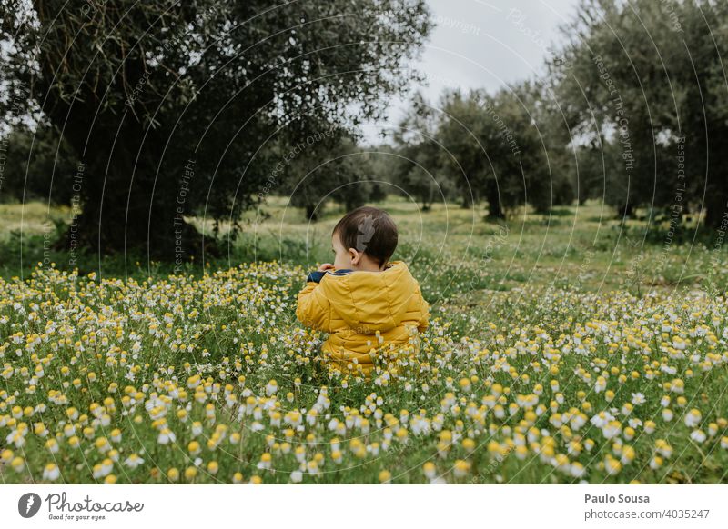 Rückansicht Kind sitzend auf Blumenwiese Frühling Frühlingsgefühle Frühlingsblume gelb authentisch 1-3 Jahre erkunden Neugier Umwelt Gras Blüte Tag Blühend