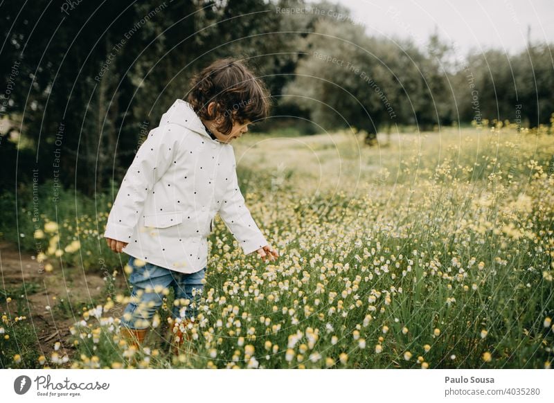 Nettes Mädchen Kommissionierung Frühling wilden Gänseblümchen Frühlingsgefühle Frühlingsblume authentisch Natur Pflanze Farbfoto Blüte Blühend Außenaufnahme