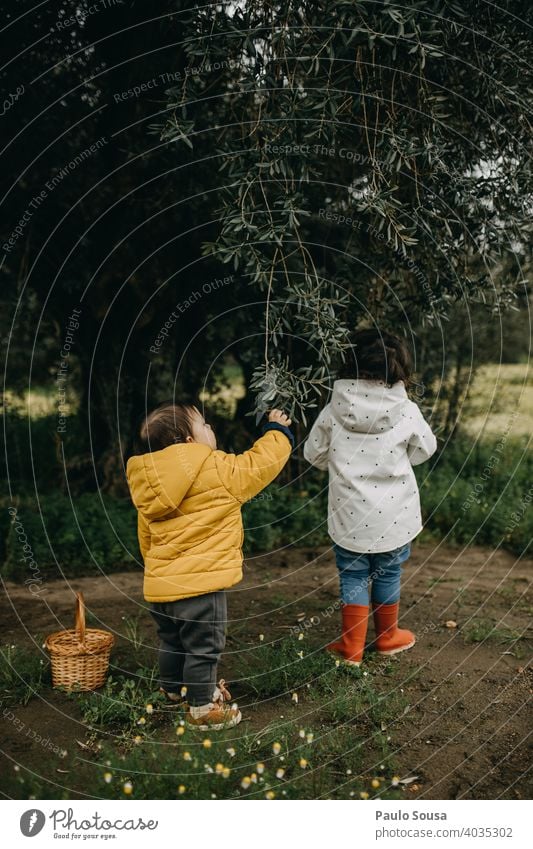 Bruder und Schwester spielen im Freien Geschwister Hermandad Zusammensein Zusammengehörigkeitsgefühl Spielen Frühling Herbst Rückansicht