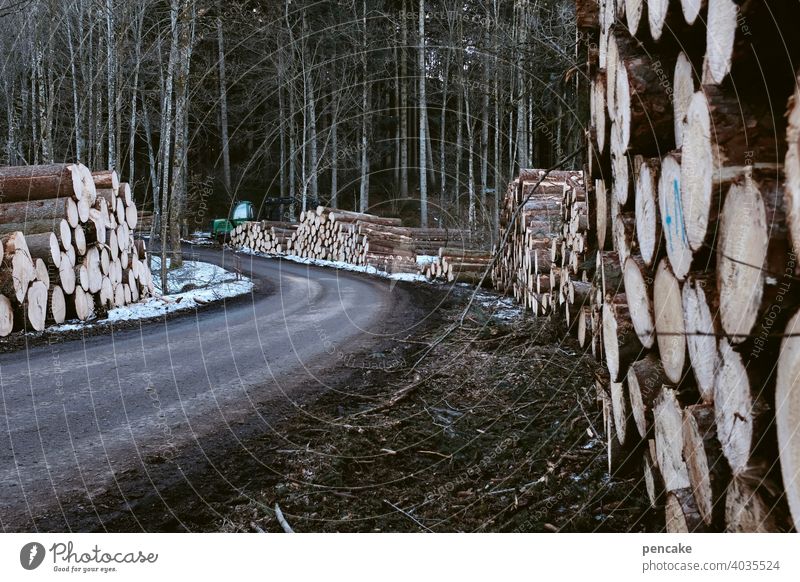 holzweg Baumstämme Wald Schneeschmelze Frühling liegen Baumstapel Holzstapel Schneereste Weg Straße Forstweg Landschaft Nutzholz Brennholz Forstwirtschaft