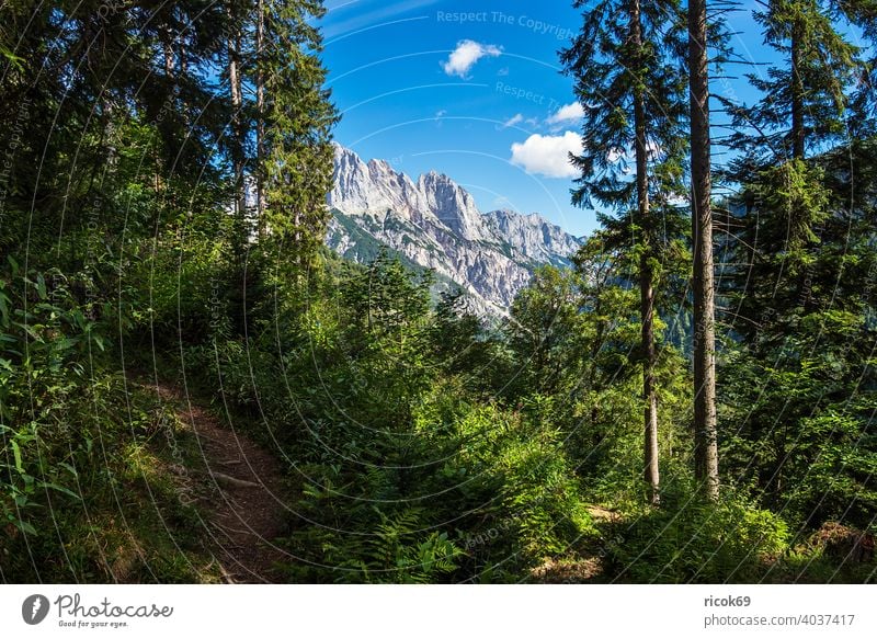 Landschaft im Klausbachtal im Berchtesgadener Land Wanderweg Bayern Alpen Gebirge Berg Baum Wald Natur Weg Pfad Wolken Himmel grün blau Urlaub Reise Tourismus