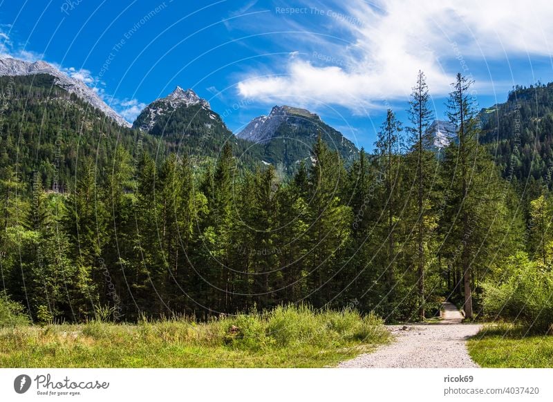 Landschaft im Klausbachtal im Berchtesgadener Land Wanderweg Bayern Alpen Gebirge Berg Baum Wald Natur Weg Pfad Wolken Himmel grün blau Urlaub Reise Tourismus