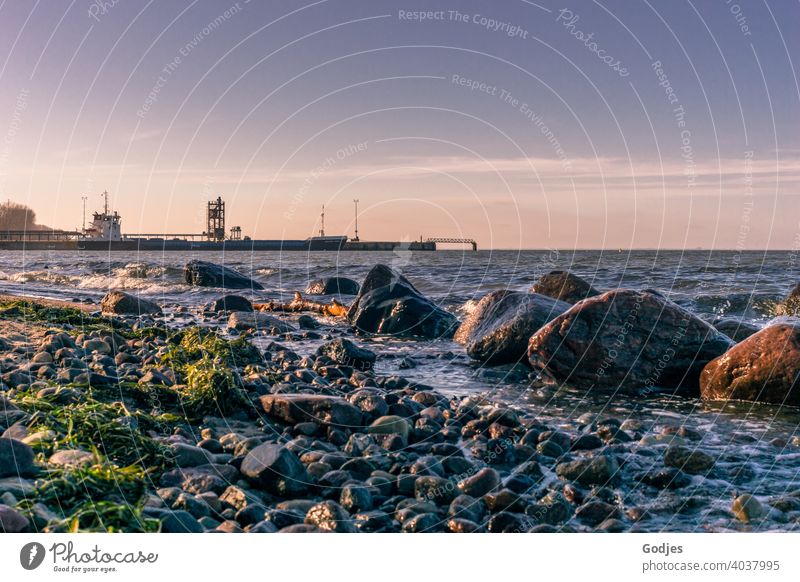 Strand mit Felsen in der Nähe eines Industriehafens Hafen Kran Himmel Abenddämmerung Wolken Anlegestelle Container Güterverkehr & Logistik Containerterminal