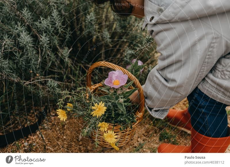 Kind pflückt Frühlingsblumen Kindheit Frühlingsgefühle Korb pflücken Kommissionierung authentisch Blühend Blüte Wiese schön Garten Natur Farbfoto Blume