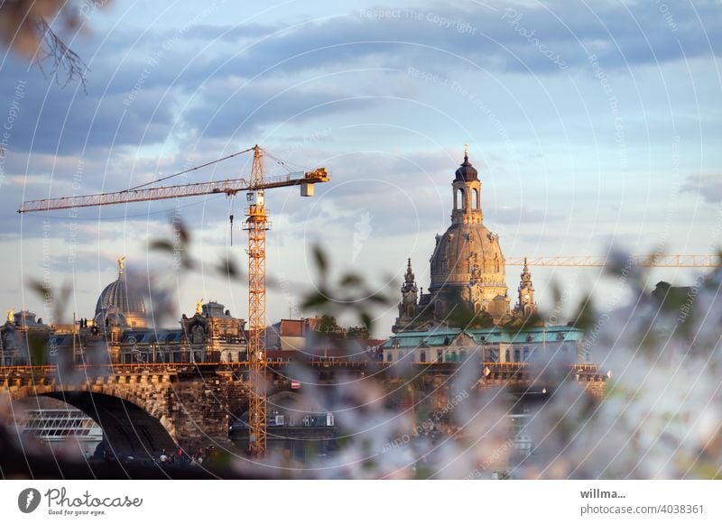 Frühling am Elbufer in Dresden Frauenkirche Kran Augustusbrücke Baustelle Sehenswürdigkeit Altstadt Sachsen