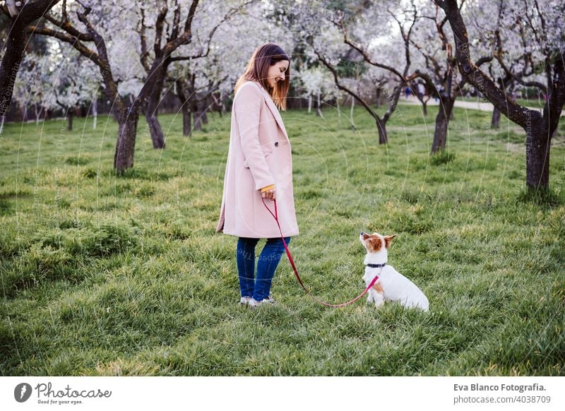 kaukasische Frau und Hund im Park im Frühling bei Sonnenuntergang. Liebe und Freundschaft Konzept. Haustiere im Freien jack russell Parkfeder Blumen