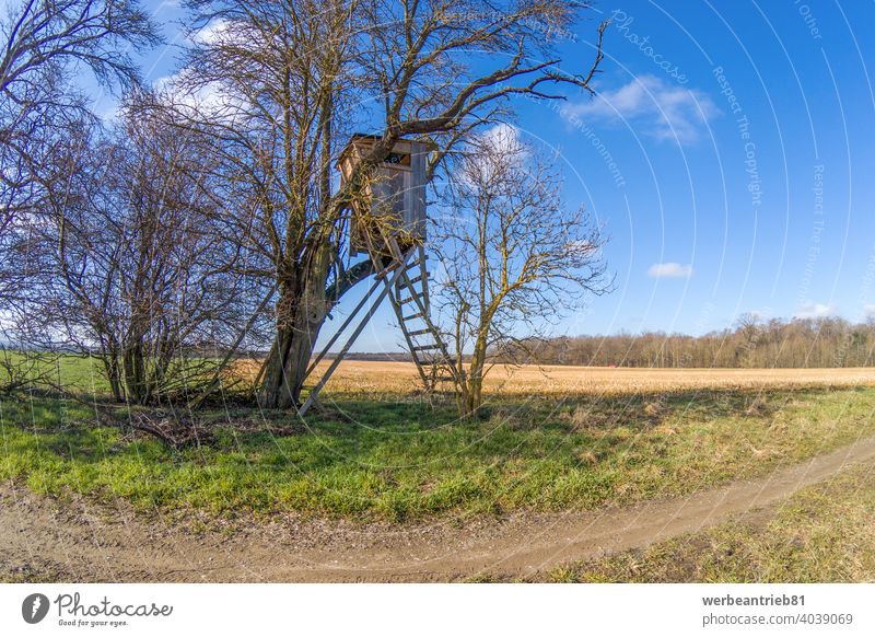 Typisch deutscher Jägersitz versteckt im Unterholz jagen Jagd Hirschjagd verborgen Versteck schleichend sonnig Blauer Himmel Feld Wirtschaftsweg Weg Winter