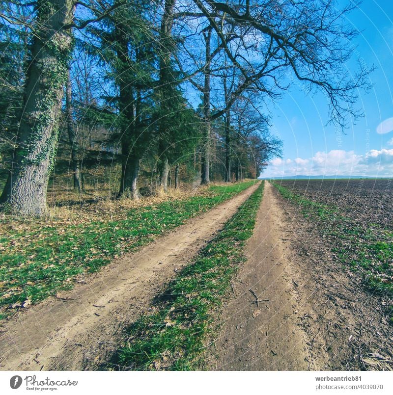 Schmutziger Wirtschaftsweg zwischen einem Feld zur Rechten und Bäumen zur Linken dreckig Feldweg Straße Weg Radweg Fahrradweg Ruhe Winter Deutschland ländlich