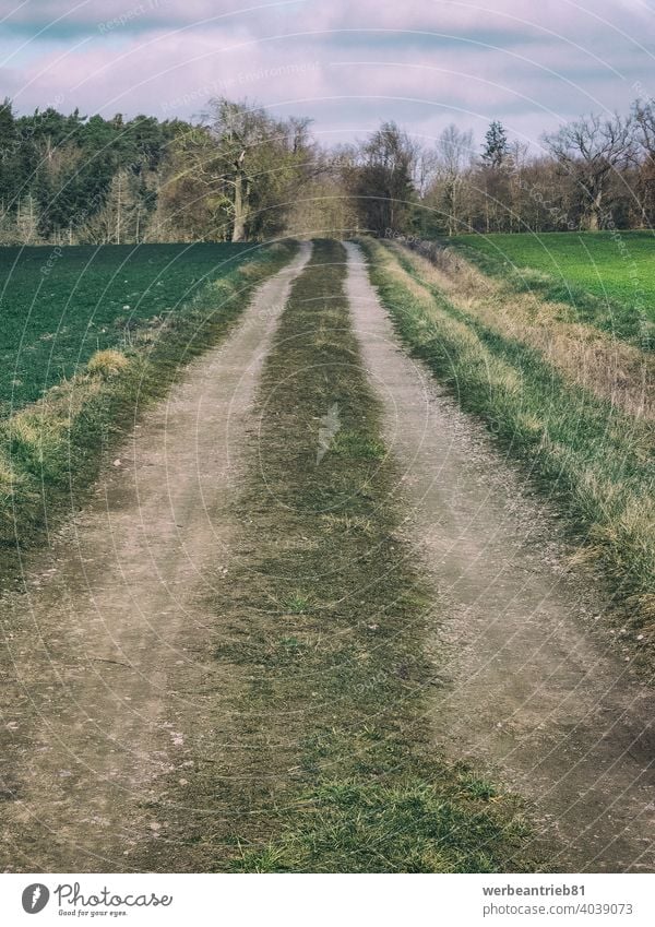 Schmutziger Feldweg zwischen grünen Feldern dreckig Wirtschaftsweg Straße Weg Radweg Fahrradweg Ruhe Winter Deutschland ländlich Landschaft Ackerbau Himmel