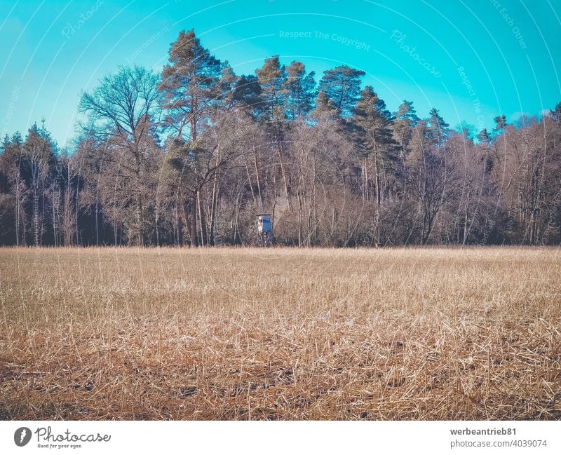 Typisch deutscher Jägersitz an der Waldgrenze mit Blick auf ein landwirtschaftliches Feld. jagen Jagd Hirschjagd verborgen Versteck Unterholz schleichend