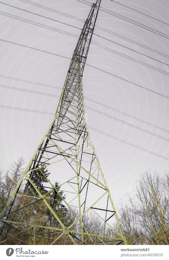 Freileitung Niedrigwinkelaufnahme Stromfreileitung Stromleitung Elektrizität Deutschland Europa niedriger Winkel Industrie industriell Natur Wald im Freien Turm