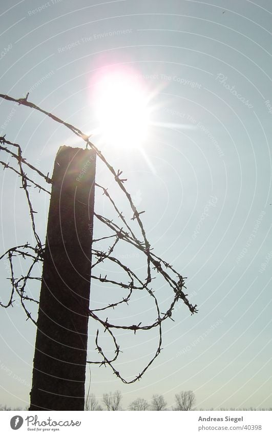 Stachelige Angelegenheit Gegenlicht Stacheldraht Rost Draht durcheinander Wildau Sonne betonpfeiler drehen