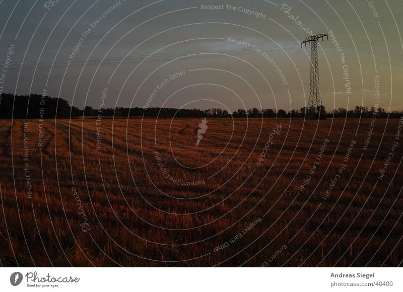 Nacht wird’s Sonnenuntergang Feld Waldrand Reifenspuren Strommast Elektrizität Herbst Natur Abend Kabel