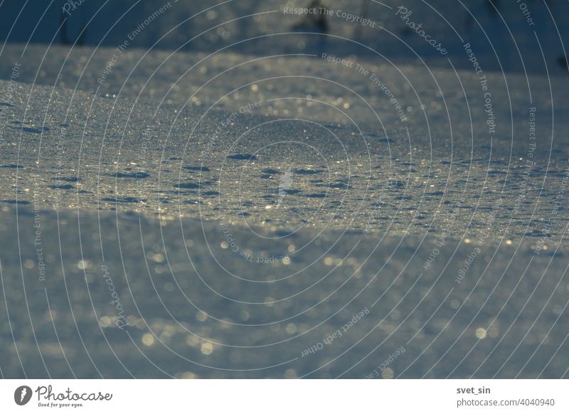 Silber blau glitzernde Schneedecke Nahaufnahme im Winter Abend. Blau leuchtende Schneekruste im Winterwald. abstrakt Hintergrund schön Bokeh hell Weihnachten