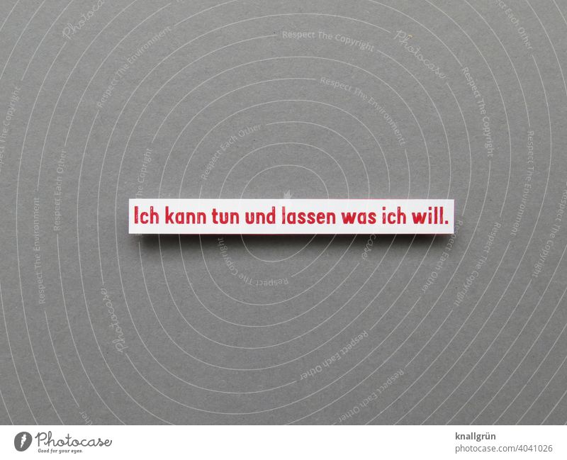 Ich kann tun und lassen was ich will. Freiheit egoistisch selbstbewußt stark Lifestyle freier wille Leben Buchstaben Wort Satz Letter Typographie