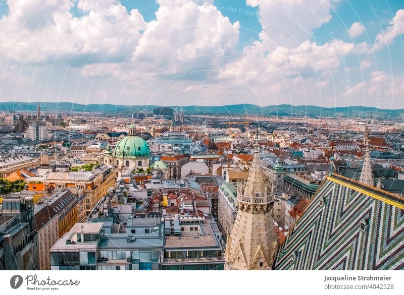 Blick vom Stephansdom - über den Dächern Wiens, Österreich vienna Austria Dom Kirchturm von oben Skyline Aussicht Aussichtspunkt Innenstadt Stadtzentrum Dach