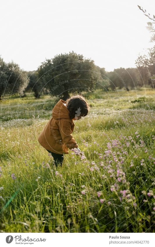 Nettes Mädchen pflückt Frühlingsblumen Kind Kindheit Kaukasier 1-3 Jahre Blumen pflücken Kommissionierung authentisch Umwelt Wiese im Freien Frühlingsgefühle