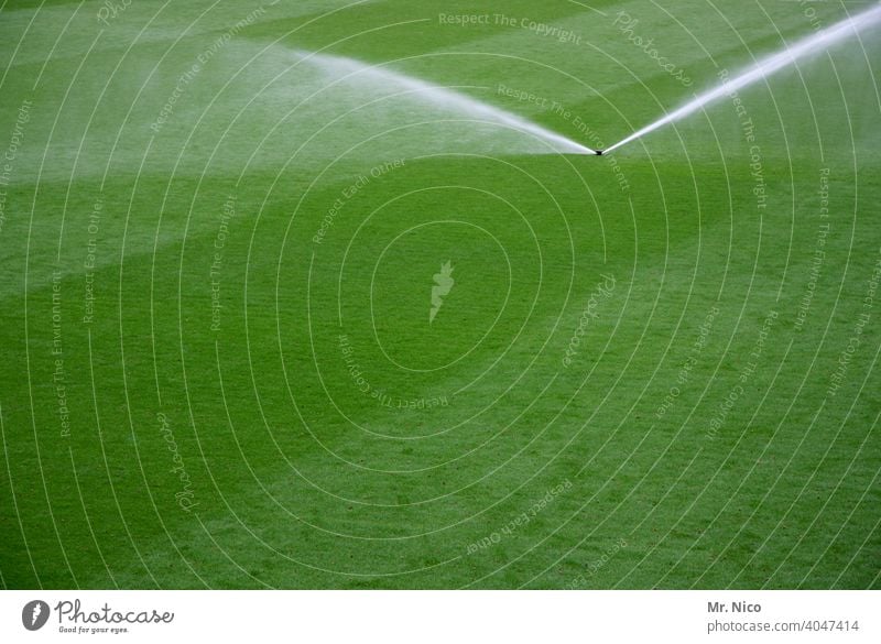 empfehlung I rasen bewässern nur morgens oder abends Gras Bewässerung Rasen Garten grün Feuchtigkeit Wiese Natur Sprinkleranlage Technik & Technologie Sommer