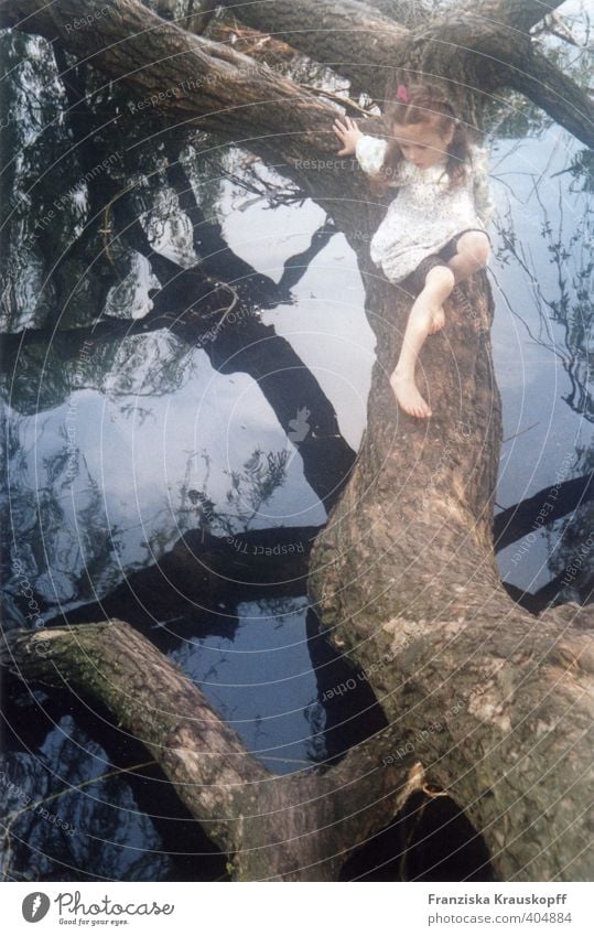 Wasserweide Umwelt Natur Landschaft Pflanze Wolken Sommer Schönes Wetter Baum Seeufer Moor Sumpf Kleid entdecken Erholung Spielen blau braun weiß Sicherheit