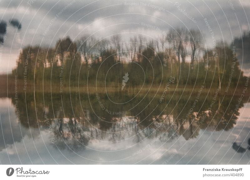 Geuschenberger See Umwelt Natur Landschaft Pflanze Erde Wasser Himmel Wolken Herbst Baum Sträucher Küste Seeufer Menschenleer Stimmung Zufriedenheit Romantik