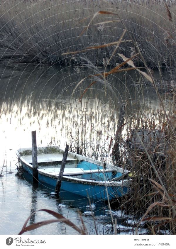 ruhetag See Wasserfahrzeug Ruderboot Schilfrohr Neusiedlersee Mörbisch