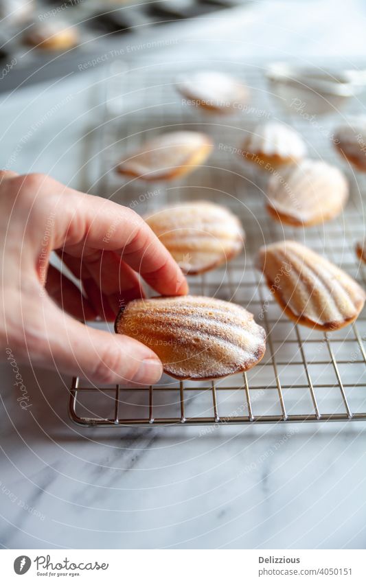 Eine weibliche Hand, die eine frisch gebackene Madeleine von einem Kühlgestell auf einem Marmortisch greift madeleine Madeleine-Kuchen Lebensmittel hausgemacht