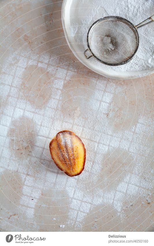 Ansicht von oben auf ein Muster aus mit Puderzucker bestäubten Madeleine-Kuchen mit einem Kuchen in der Mitte madeleine backen Lebensmittel hausgemacht süß